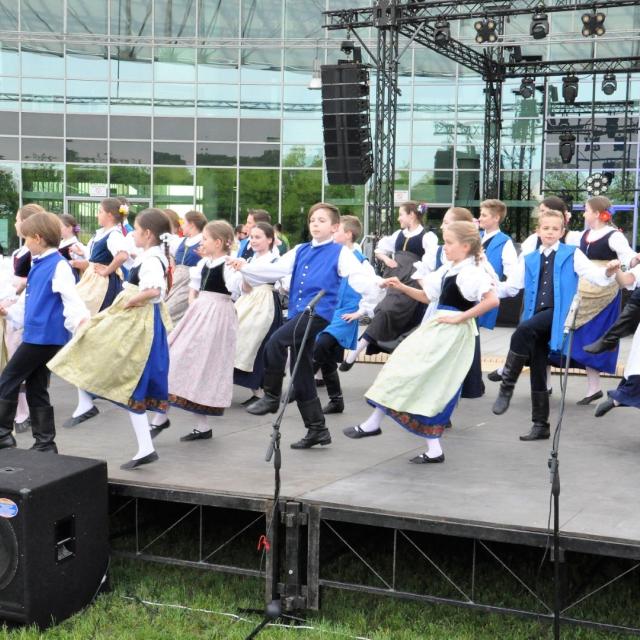 Zdjęcie
