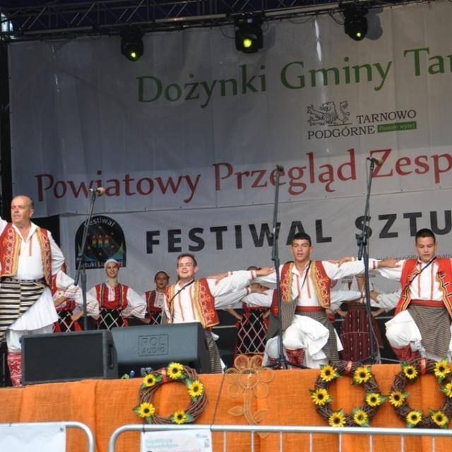 Zdjęcie