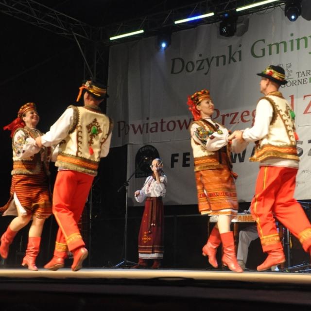 Zdjęcie