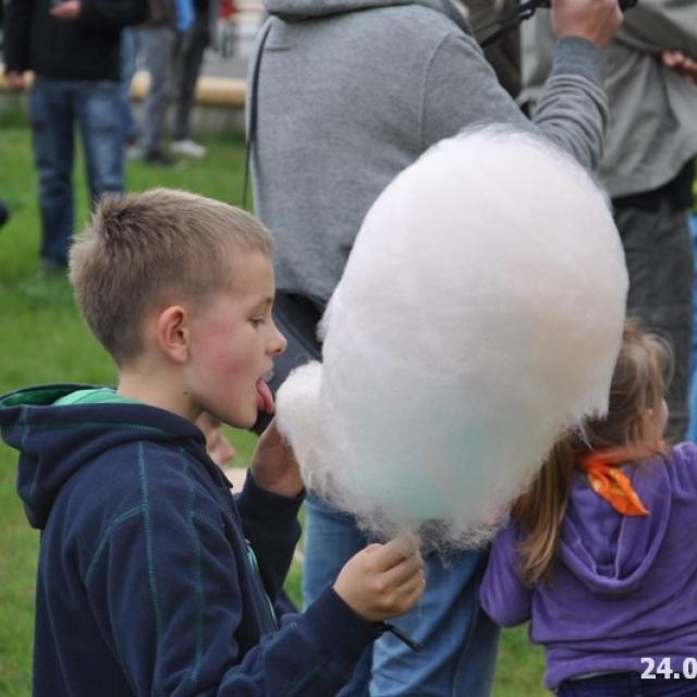 Zdjęcie