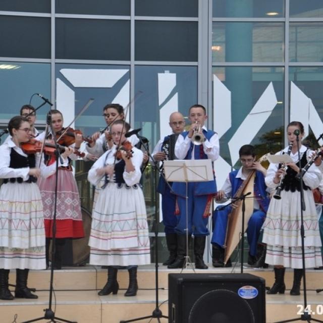 Zdjęcie