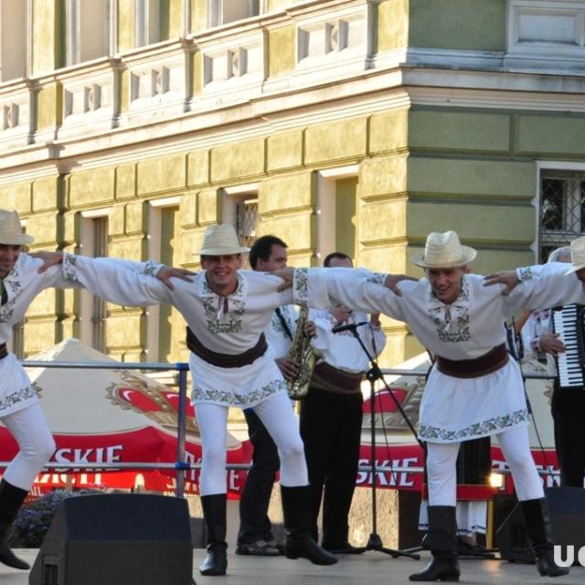 Zdjęcie