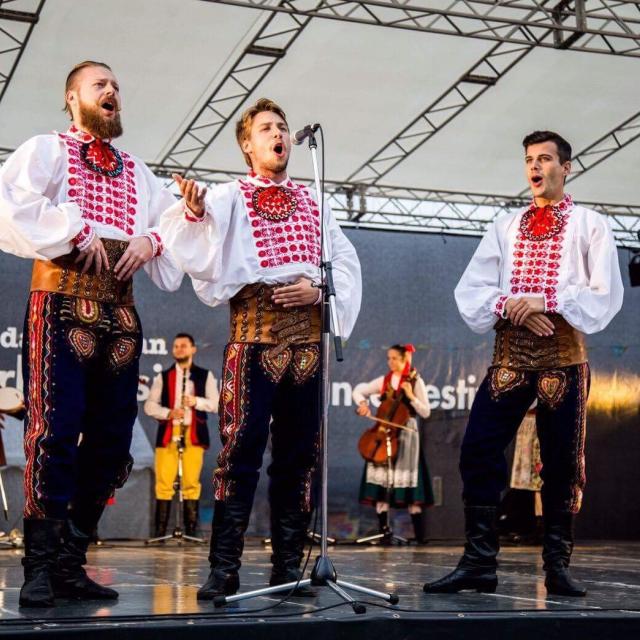 Zdjęcie