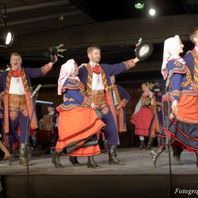 Zdjęcie