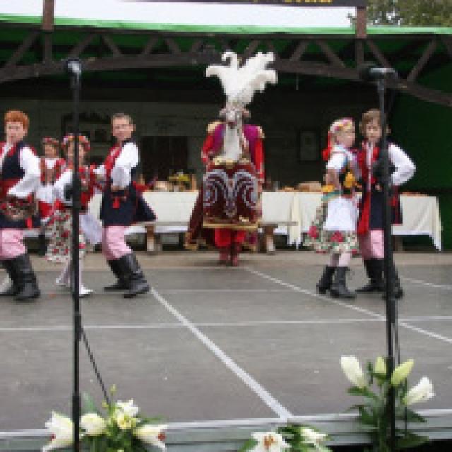 Zdjęcie